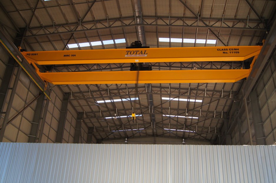 Total Hoists and Cranes Pty Ltd Pic 1