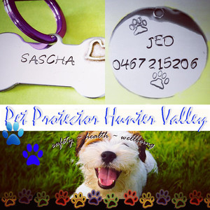 Pet Protector Hunter Valley Pic 2 - Pet iD from 995