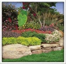 landscaping in caloundra Bdy Pic 1 - Landscape