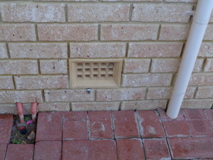 Express Building and Pest Inspections Ellenbrook Pic 2