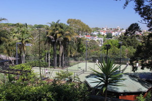 Trumper Park Tennis Centre Pic 4 - From above