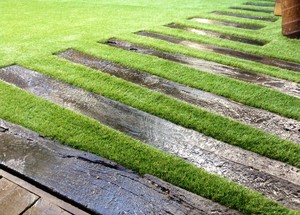 SYDNEY SYNTHETIC LAWNS Pic 2 - Sydney Synthetic Grass Using only the best Australian made Synthetic grass