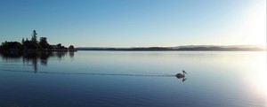 Steve Paterson Photography Pic 2 - Into the light Pelican Lake Macquarie NSW