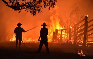 Bushfire Store Pic 4