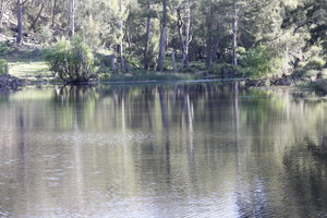 Arcadian Cabins Holiday Accommodation Pic 3