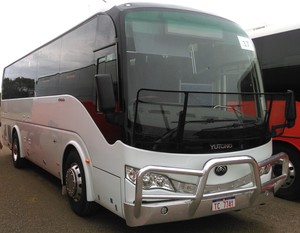 Beach Sand & Land Tours Pic 5 - 39 Seat Bus