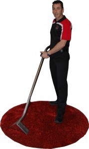 The Rug Spa Pic 5 - Rug Cleaning Specialist