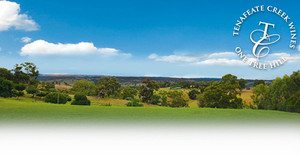 Tenafeate Creek Wines Pic 2 - The View from dining area