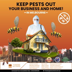 7 State Pest Control Pic 4 - wasp nest removal melbourne