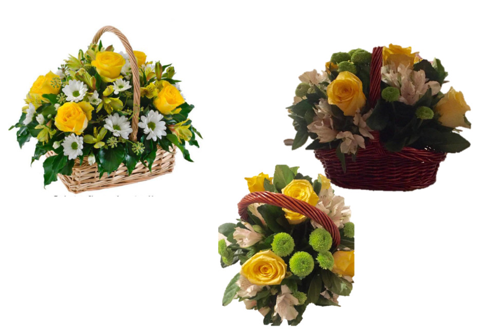 Woodside Plaza Flowers & Gifts Pic 2 - Flower Comparison