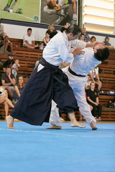 Aikido Yoshinkan Brisbane Dojo Pic 1 - Real and Practical Aikido