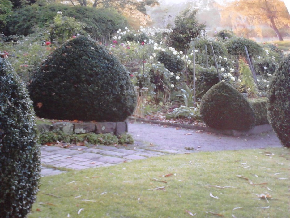 Mornington Peninsula Garden Services Pic 1