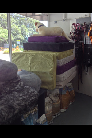 Clovelly Dog-O-Mat Pic 2 - Sasha Me bedding on display