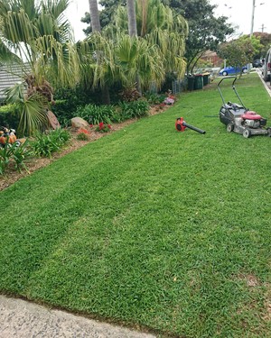 Green Feet Landscape Gardening Pic 3