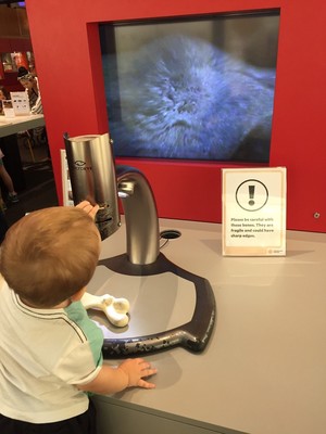 Queensland Museum & Sciencentre Pic 5 - Microscope set up to look at bones through