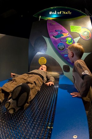 Queensland Museum & Sciencentre Pic 4