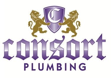 Consort Plumbing Pic 1