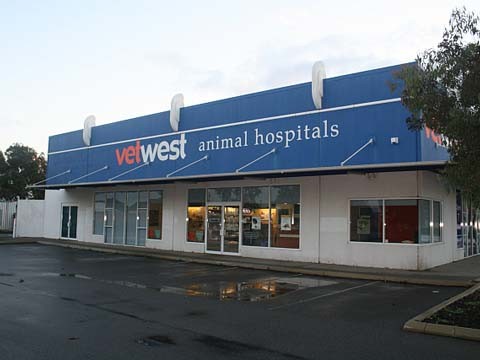 Vetwest Animal Hospital Pic 1 - Welcome to Vetwest Canning Vale