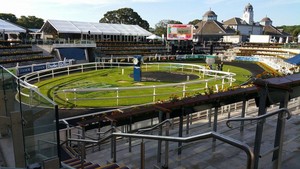 Royal Randwick Racecourse Pic 3 - Theatre of the Horse