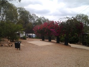 Sapphire Caravan Park Pic 4 - Spacious Sites