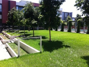 LaunchPad Pic 2 - Garden area in facility