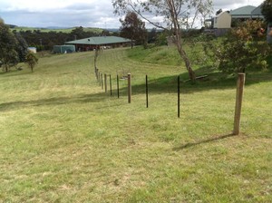 Fencing Contractor Michael Walker Pic 2 - Post Wire Fencing