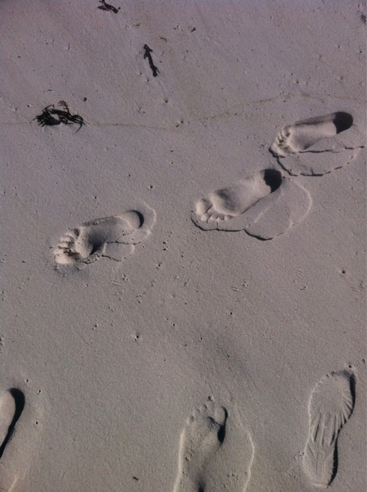 Hyams Beach Real Estate Pic 1 - The sand that squeaks