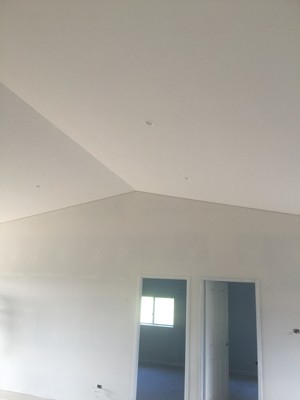 Cam Aitken Ceilings Pic 4