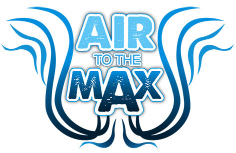 Air To The Max Pic 1