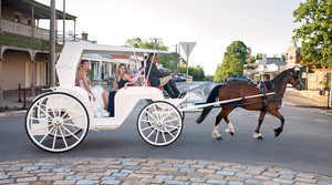 Horsemans Playground Pic 2 - Wedding Horse Drawn Carrage