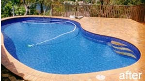 Poolsavers Pic 1