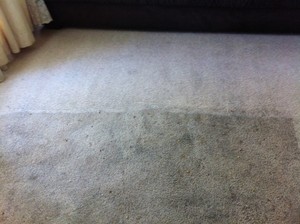 Adam's Carpet Cleaning.. Pic 2 - Carpet Cleaning Before and After