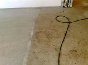 Adam's Carpet Cleaning.. Pic 5 - Carpet Cleaning Before and After