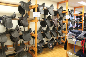 Saddles Plus Pic 3