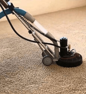 Carpet Cleaning Kensington Pic 2