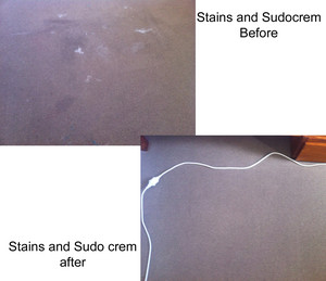 Restore Carpet and Upholstery Steam Cleaning Pic 5