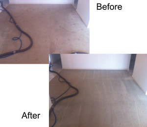 Restore Carpet and Upholstery Steam Cleaning Pic 4