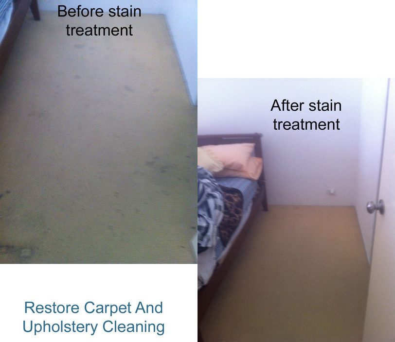 Restore Carpet and Upholstery Steam Cleaning Pic 1