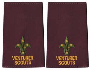 MrBadges.com Pic 5 - scouts epaulette