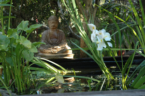 Burns at Byron - Bed & Breakfast/Guesthouse Pic 3 - The Pond