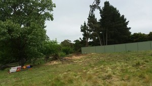 Aussie Tree Fellers Pic 5 - Clean up and land clearing