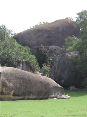 Goat Rock Camping Ground & Tourist Park Pic 2 - granite boulders at the goat rock camping area