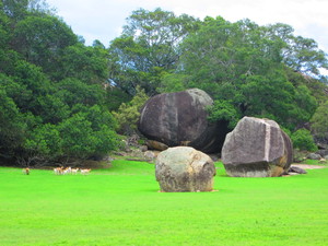 Goat Rock Camping Ground & Tourist Park Pic 4 - Plenty of space