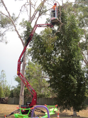 Green Works Pic 2 - Safe tree option