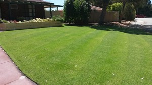 Malaga Gardening & Mowing Pic 4