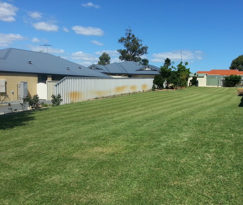 Malaga Gardening & Mowing Pic 1 - The perfect day to cut a lawn