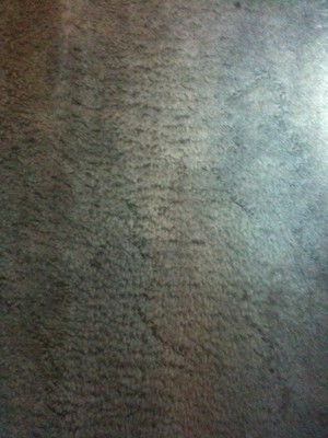 Kim's Carpet Cleaning Service Pic 2 - WHAT MARKS