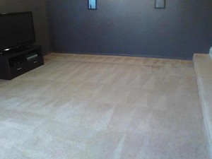 Kim's Carpet Cleaning Service Pic 5 - Example of our work