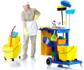 New Lanka Cleaning Services Dandenong Pic 1