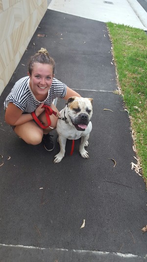 Happy Pooch Dog Walking Pic 3 - Georgia and Archer enjoying a break on their fast paced walk